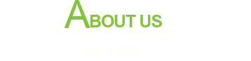 骚B内射网